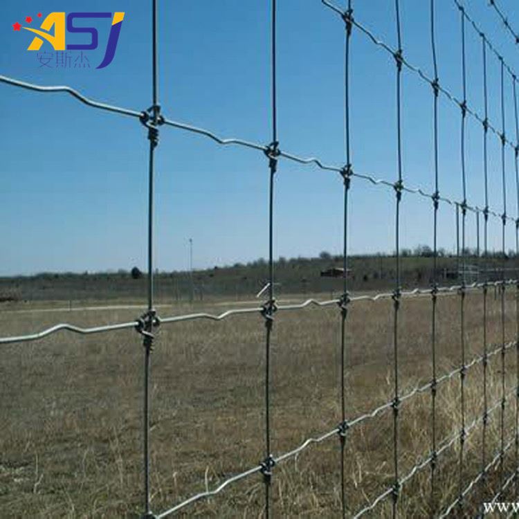 hinge joint wire mesh rolls cattle/sheep farmland metal fence
